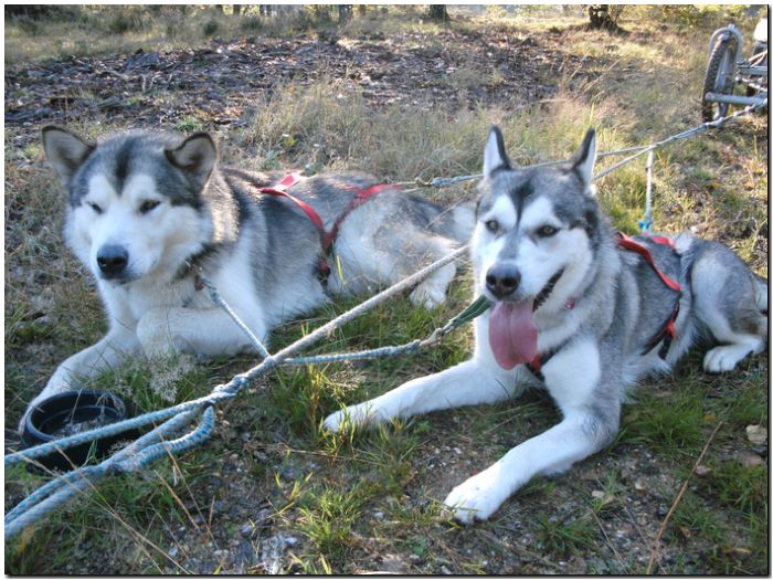 Tour Odenwald 084.jpg